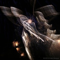 /album/light-painting/frida-dumont-img-0679-jpg/